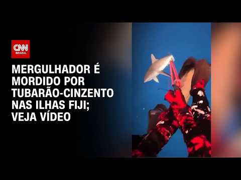 Vídeo: mergulhador é mordido por tubarão-cinzento nas Ilhas Fiji | CNN BRASIL