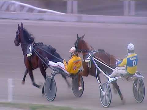 Trotto 22/01/2019 - 3ª corsa