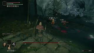 ＃エルデンリング　初見プレイ　3日目　「22時迄一緒に遊んでくれ..」