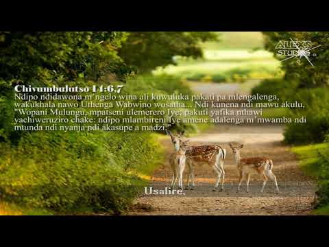 Kuli bwanji kwathu   SDA Khristu mu nyimbo #ChristInSong5 🇲🇼 ||Christ In Song