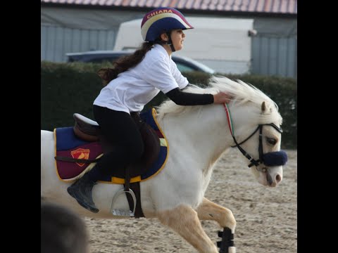 Trofeo 4 regioni 2019  - mounted games - prima tappa  - Sommacampagna - Under 12 - Equicer