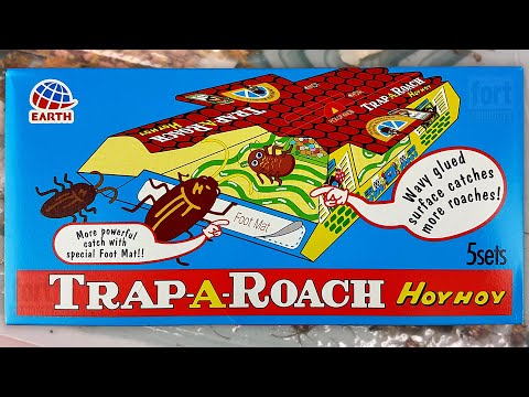 HoyHoy Trap-A-Roach Introduction Video