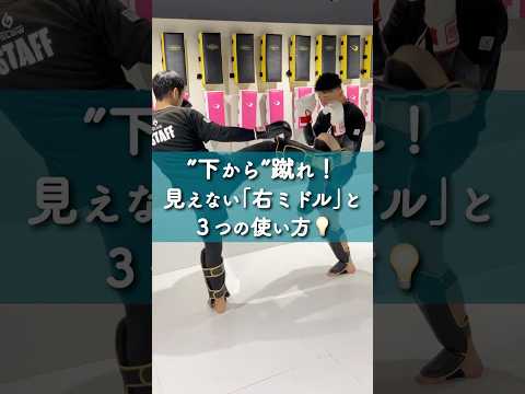 ”下から”蹴れ！「見えないミドルキック」の理由と使い方👀【キックボクシング】