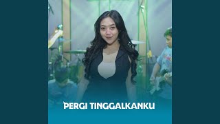 Download lagu Pergi Tinggalkanku mp3 Download lagu Pergi Tinggalkanku mp3