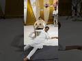 Chair Anointing Manishgillministries Holyspirit Anointingservice Prayer Pathankotchurch