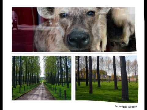 Tongeren fotoboek / Tongres photo book