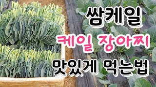 쌈케일 맛있게 먹는법 케일 직접 수확해서 당일 발송 쌈채소요리