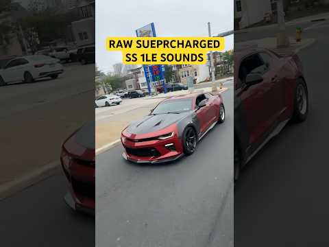 NASTY SUPERCHARGED CAMARO SS 1LE SOUNDS CRAZY #camaro #carbon #supercharged #explore #fast #whine
