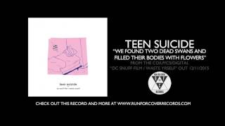 teen suicide - 