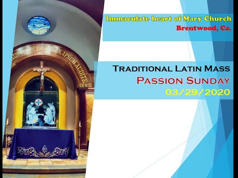 Dominica Prima Passionis/Passion Sunday/Domingo de la Pasión/ Traditional Latin Mass 03/28/2020