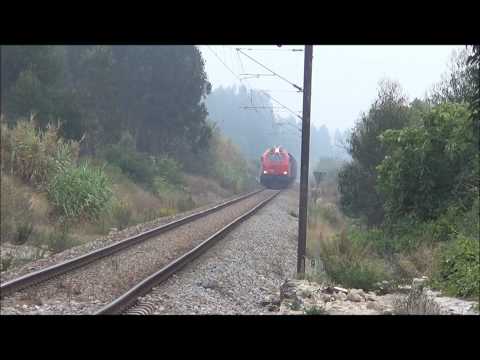 Comboio de Madeira nº 48832 - Linha do Oeste