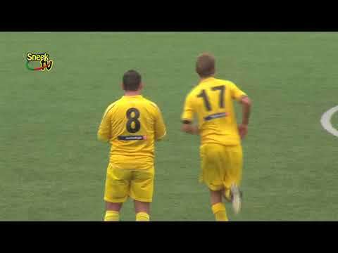 Archief: Samenvatting SWZ Boso Sneek - Haaglandia