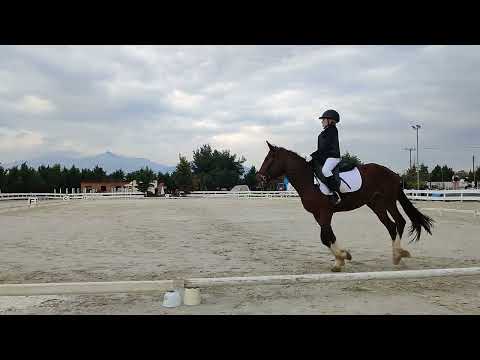 A3 children dressage competition 8/4/2022 Α.Κ.Ι.Θ Eratosthenis & Sandra