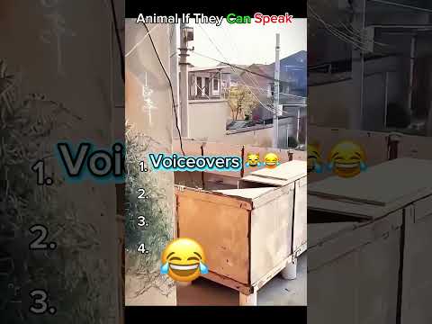 🐶🐱 Animals if they could speak… this would be wild 😂💀