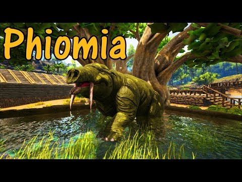 Phiomia Educational Special [64]