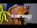 The Dandy Warhols - Smoke It (Official Music Video)