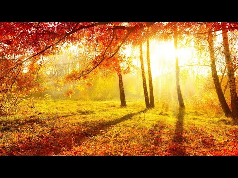 Nolims - The Secret Of Life