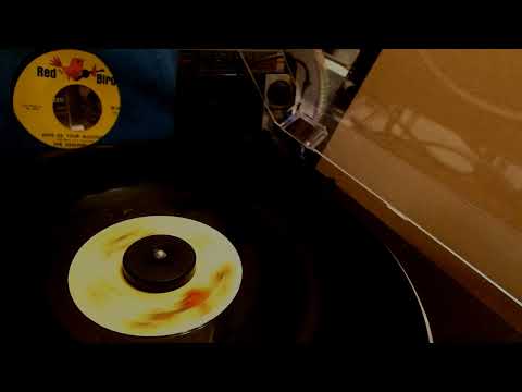 The Shangri-Las / Long Live Our Love