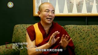 07慧晤—环保从心开始-索达吉堪布对话叶蓓教授 >> 环保从心开始 01 上师回答07 环保是保护群生的大爱 中文版