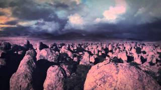 Monster Paws "Ray of Light"