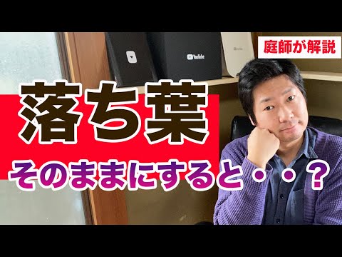 落ち葉をリサイクルするための5つのヒント！  庭園