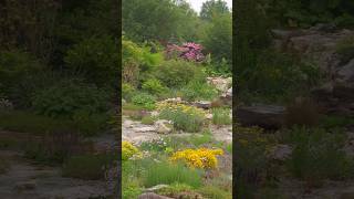 SUBURBAN LAWN Converted to Unbelievable ROCK GARDEN