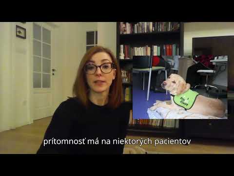Podporte výnimočnú labradorku, aby mohla pomôcť tým, ktorí to najviac potrebujú