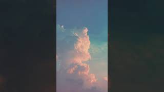 ✨Aesthetic no face photo ideas✨