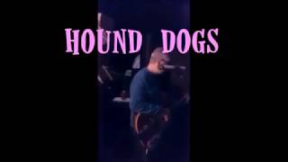 Hound Dogs - WELCOME TO MY WORLD