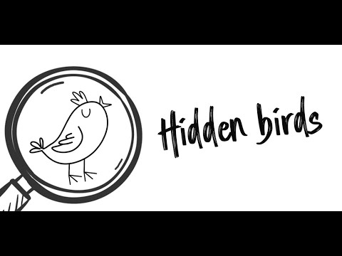 Hidden Birds