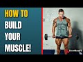 STRUGGLING TO BUILD YOUR MUSCLE? This video is for you!