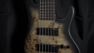 Video thumbnail for ESP/LTD D-6 Six String Bass by MooreMusicGuitars