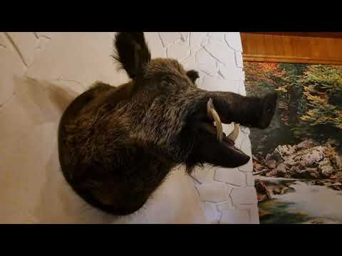 Cazare la cabana de vanatoare a lui Ceausescu