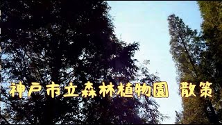 2020.10.31 神戸市立森林植物園 - KOBE Forest botanical garden, Hyogo, Japan -