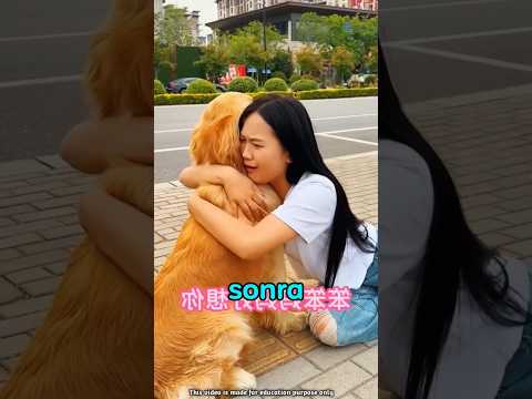 💔🐶 Köpeğini Kovdu… Gerçek Sebebi Öğrenince Herkes Ağladı! 😢🐾