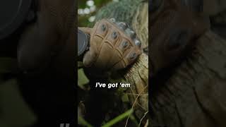 show video image in three sizes