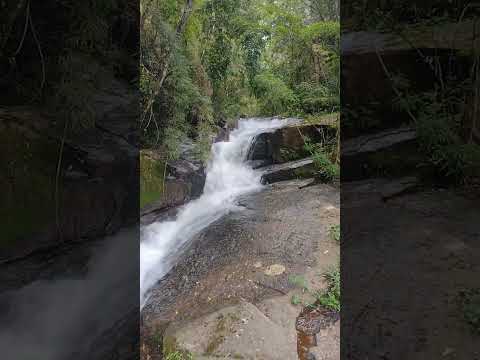 🔴 Bate e Volta - Gonçalves - MG.