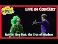Rattlin Bog Feat The Tree Of Wisdom Live In Concert The Wiggles Wiggly Big Day Out