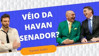Parem tudo: Luciano Hang quer virar Senador!