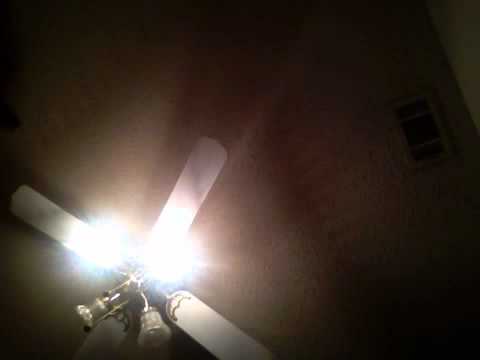 Show. Brandon and. Amelie