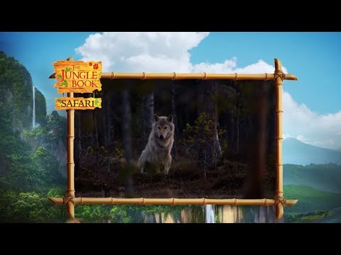 The Jungle Book Safari - Episode 23  -  Competition