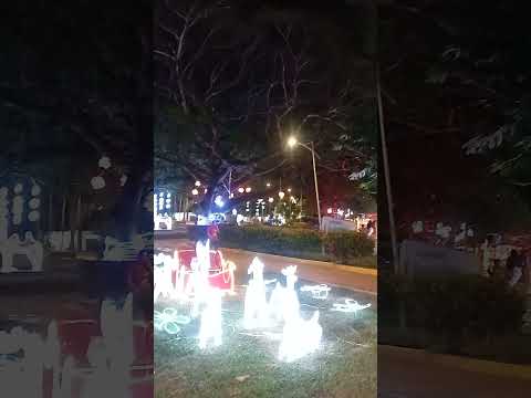 #feed  san luis de palenque #casanare