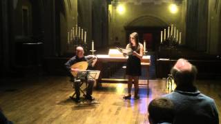 The cypress curtain of the night