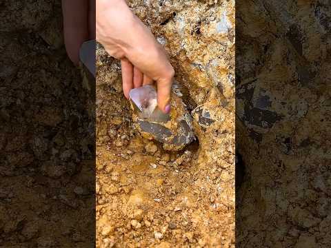 Discovering a Crystal 🔎💎