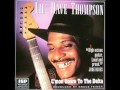 C'mon Down To The Delta -  Lil' Dave Thompson