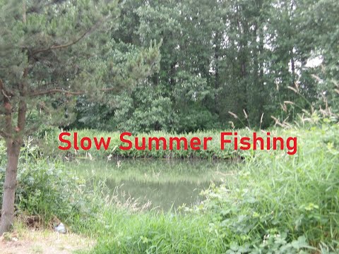Slow Summer Fishing