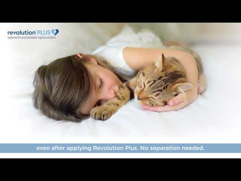 Revolution Plus for Cats - selamectin|sarolaner|topical solution - 2.8 to 5.5 lb (6 month supply) - [Flea & Ticks] Video
