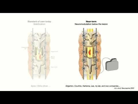 David Borton seminar thumbnail