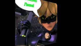 Пикси Герл и Супер Кот