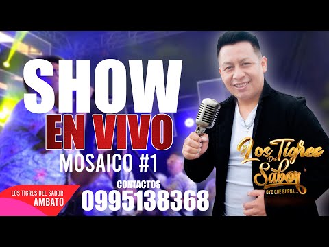 LOS TIGRES DEL SABOR SHOW EN VIVO 2021 MOSAICO #1 VIDEO 4K